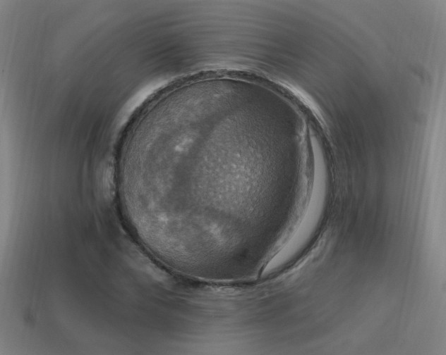 X0000114420878200910161226