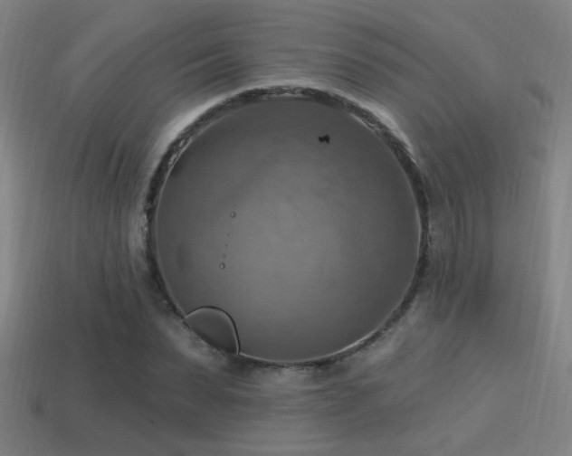 X0000114420879200910161226