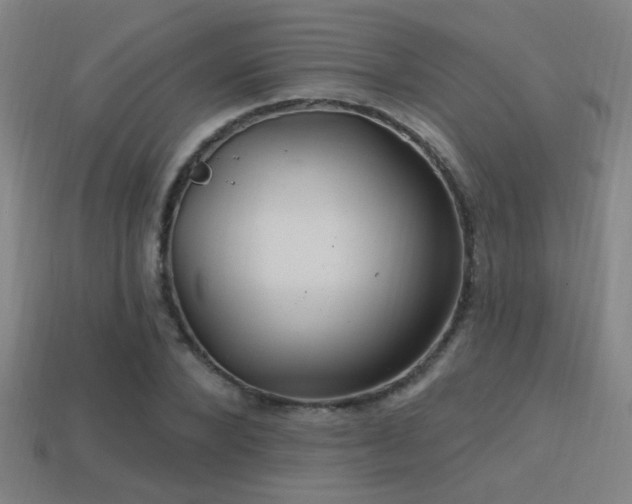 X0000114420880200910161226