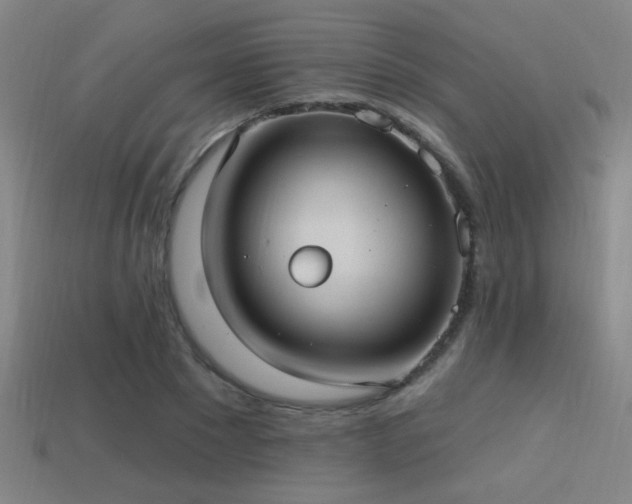 X0000114420881200910161226