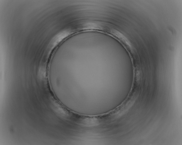 X0000114420882200910161226