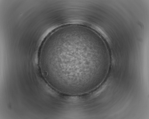 X0000114420883200910161226