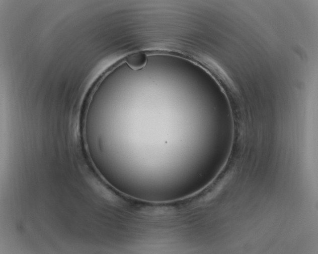 X0000114420884200910161226