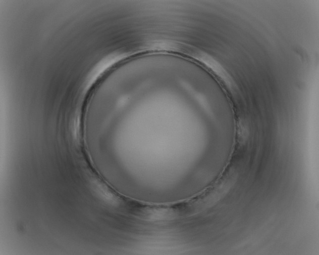 X0000114420886200910161226