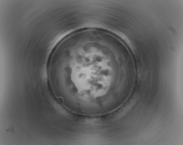 X0000114420887200910161226