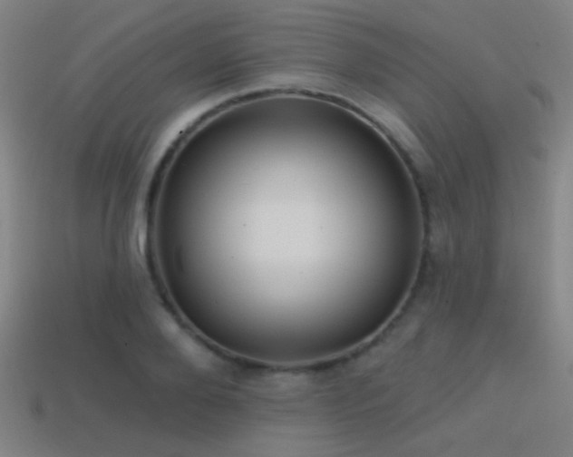 X0000114420888200910161226