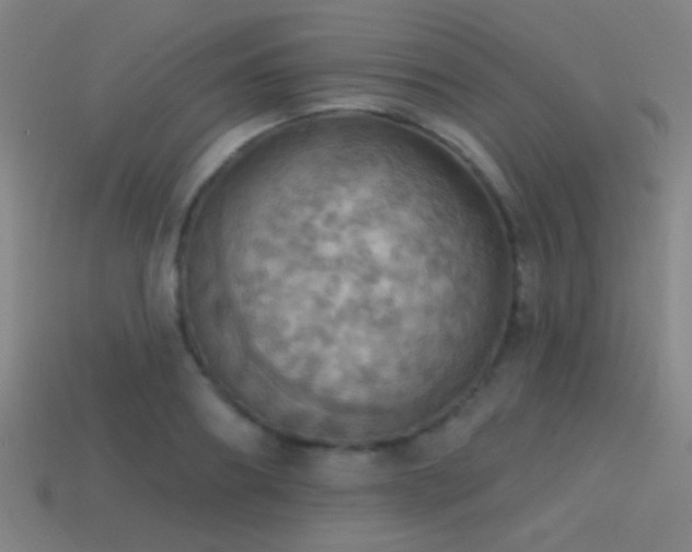 X0000114420890200910161226