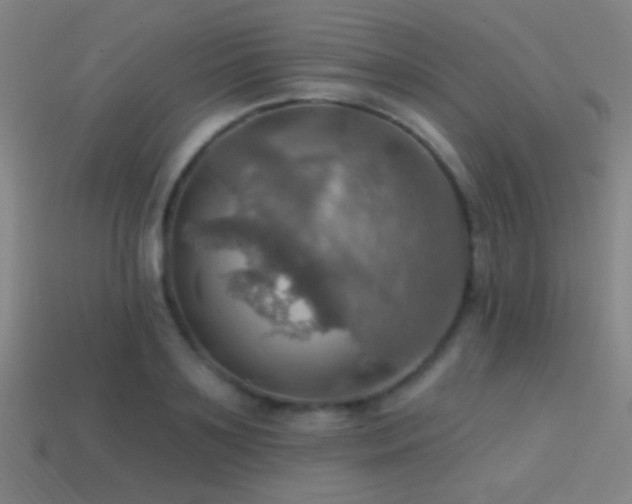 X0000114420891200910161226