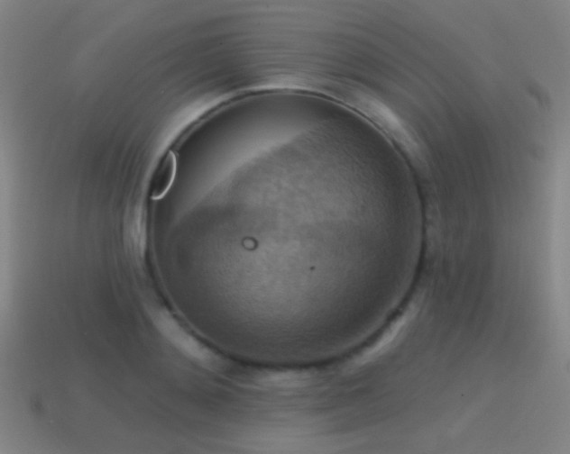 X0000114420892200910161226
