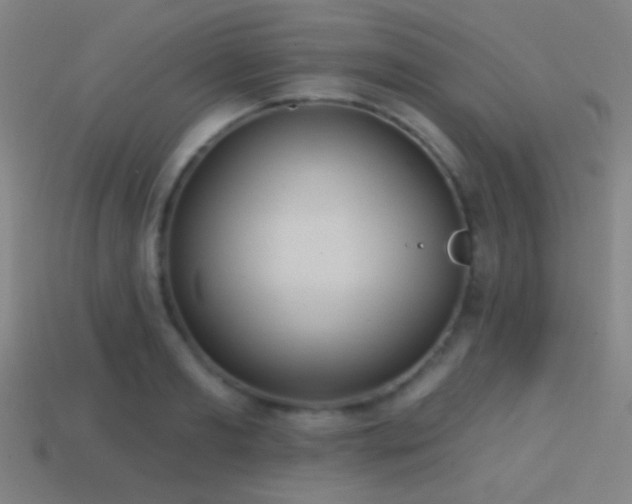 X0000114420893200910161225