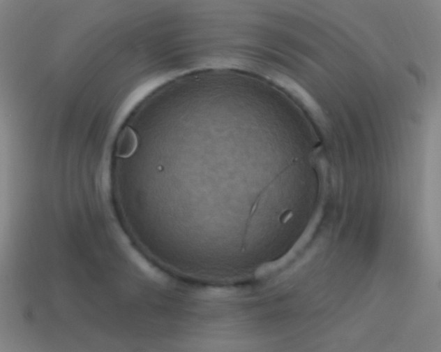 X0000114420894200910161225