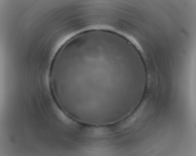 X0000114420895200910161225