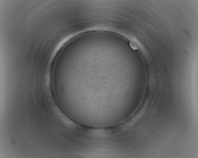 X0000114420896200910161225