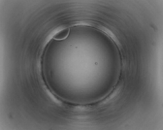 X0000114420898200910161225