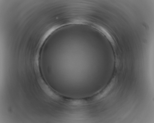 X0000114420899200910161225