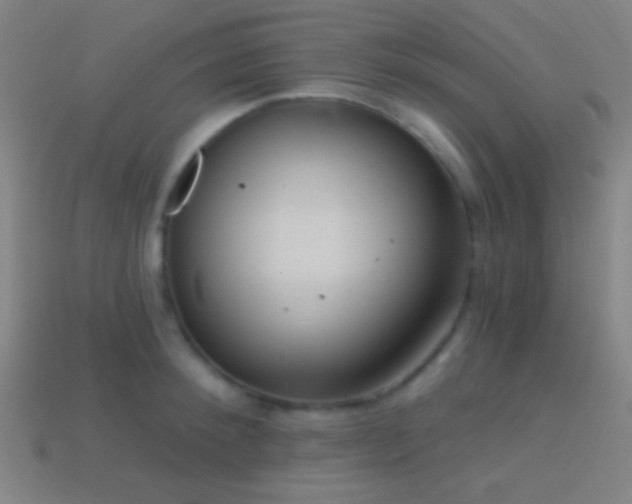 X0000114420900200910161225