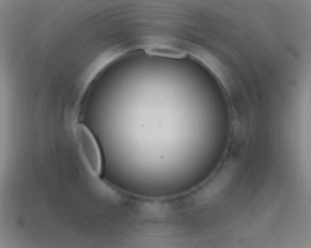X0000114420901200910161225
