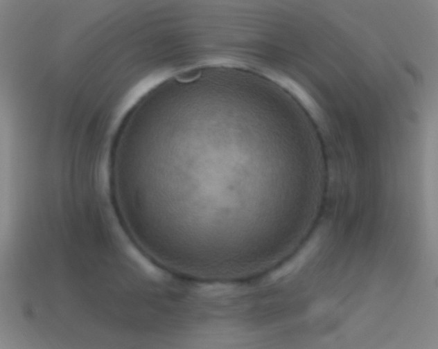 X0000114420902200910161225