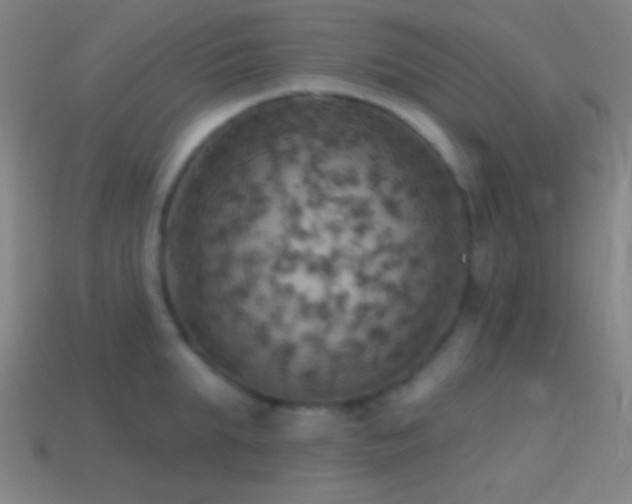 X0000114420903200910161225