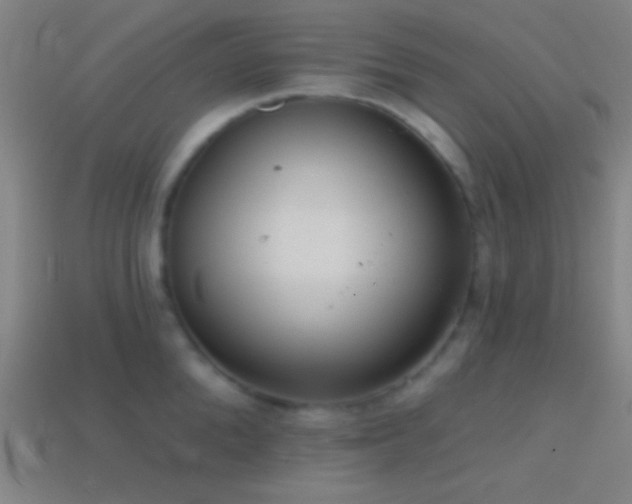 X0000114420904200910161225
