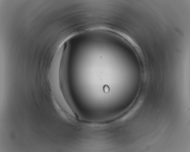 X0000114420905200910161225