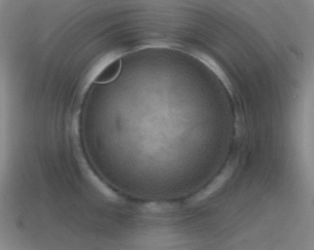 X0000114420906200910161225