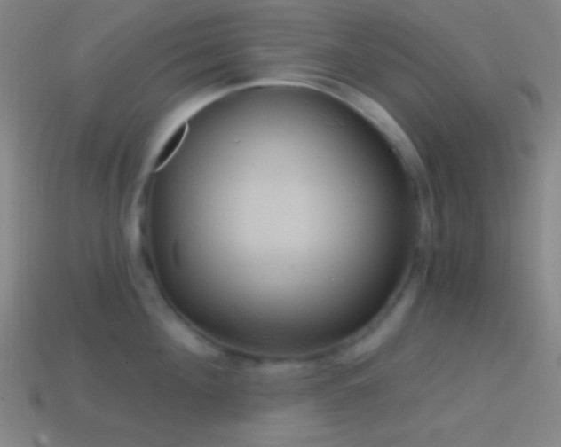X0000114420908200910161225