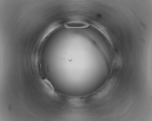 X0000114420909200910161225