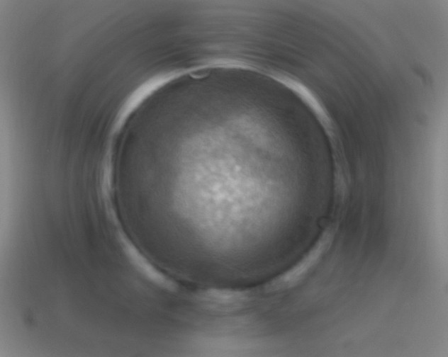 X0000114420910200910161225