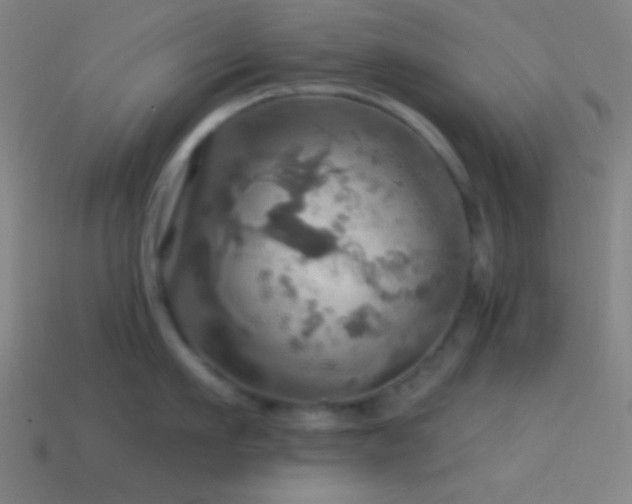 X0000114420911200910161225