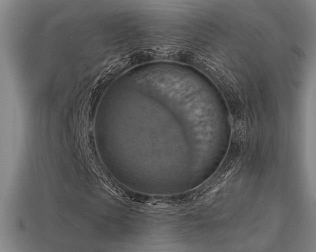 X0000114420913200910161225