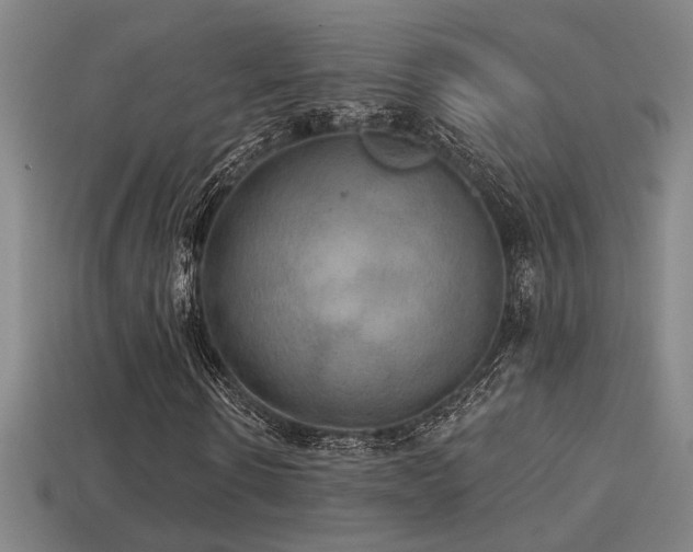 X0000114420914200910161225