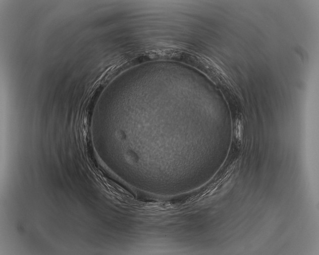 X0000114420915200910161225