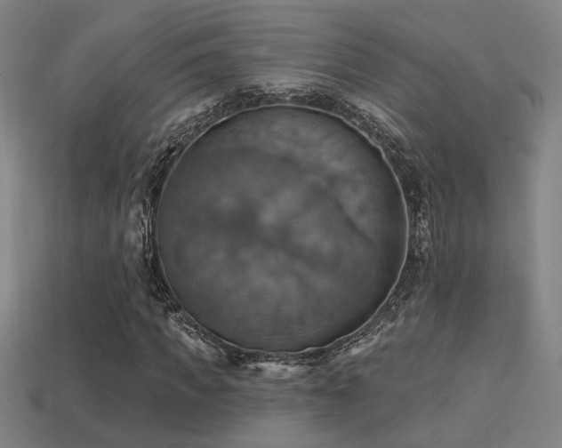 X0000114420917200910161225