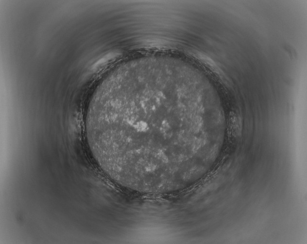 X0000114420918200910161225