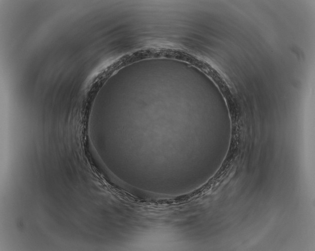 X0000114420919200910161225