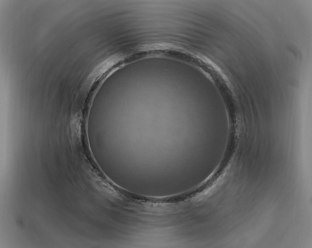 X0000114420921200910161225