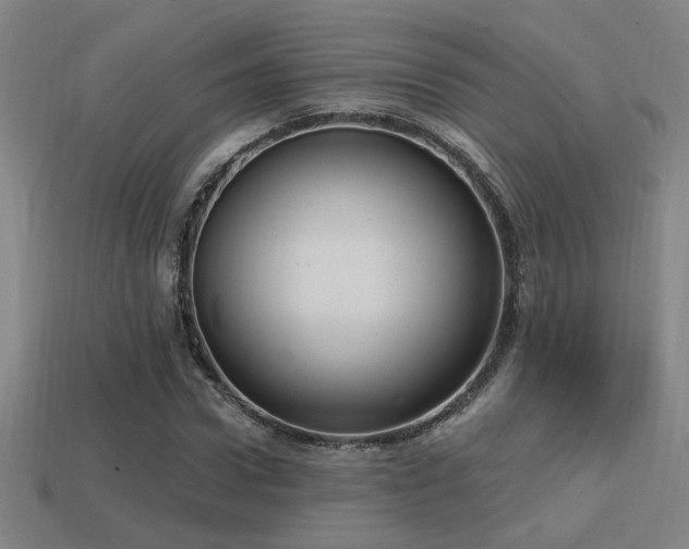 X0000114420922200910161225