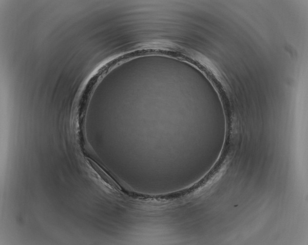 X0000114420923200910161225