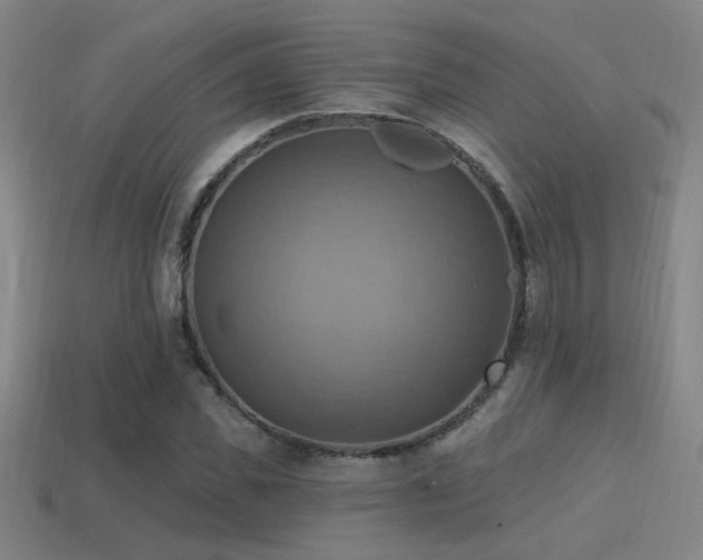X0000114420925200910161225