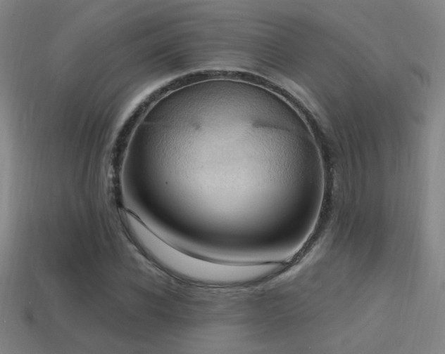 X0000114420926200910161225