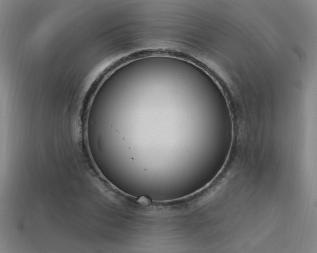 X0000114420927200910161225