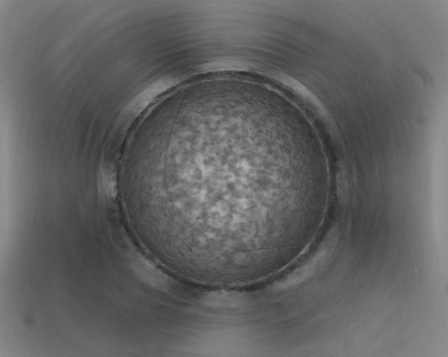X0000114420929200910161225