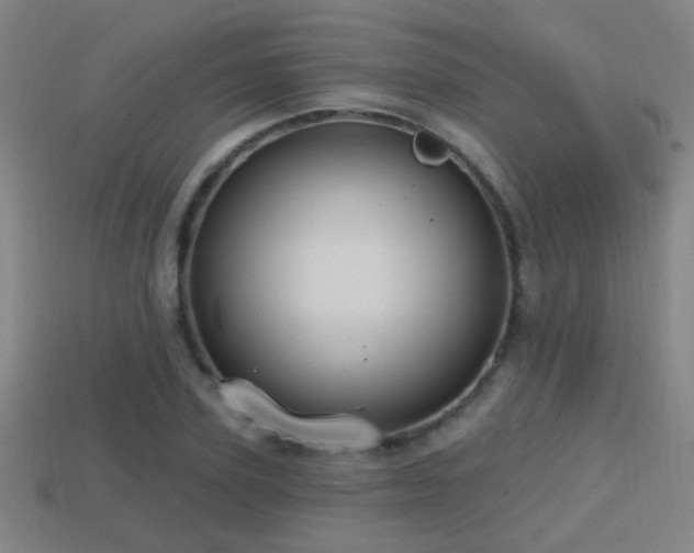 X0000114420931200910161225