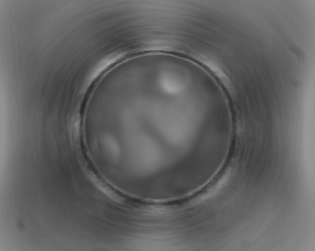 X0000114420933200910161225