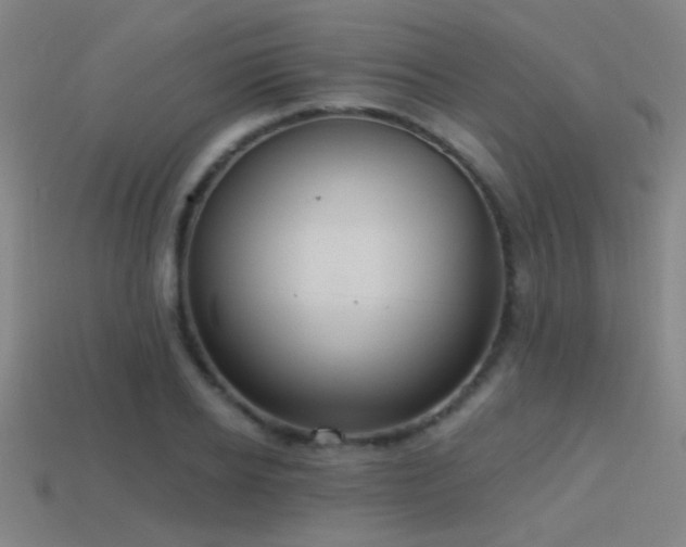 X0000114420934200910161225