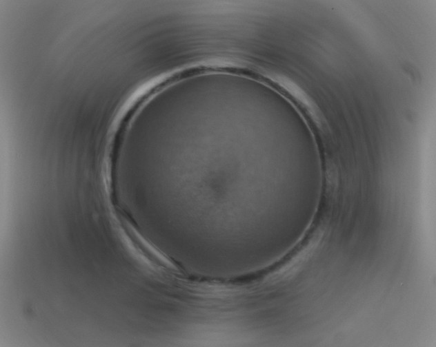 X0000114420935200910161225