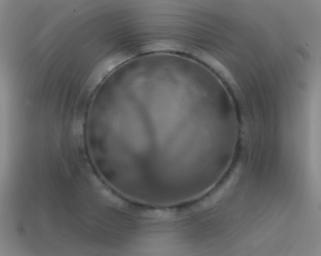 X0000114420937200910161225