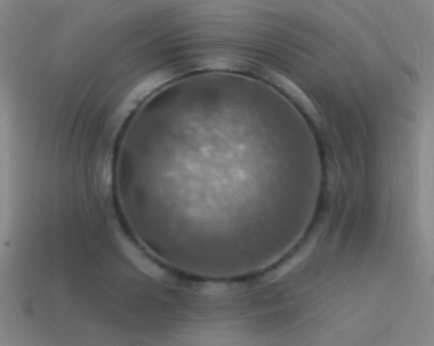 X0000114420938200910161225