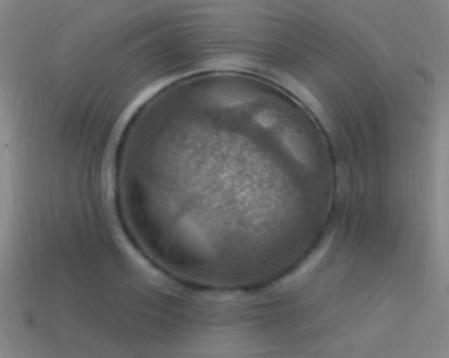X0000114420939200910161225